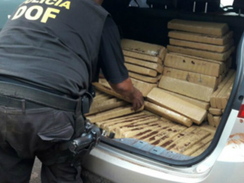 Havia 920 kg de maconha no veículo (Foto: DOF/Divulgação)
