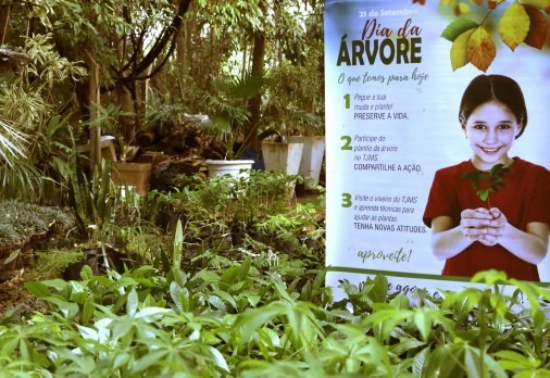 TJMS distribui mudas em comemoração ao Dia da Árvore nesta sexta TJMS distribui mudas em comemoração ao Dia da Árvore nesta sexta