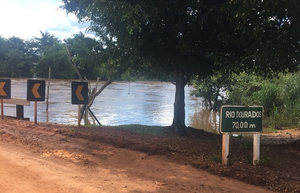 Local onde mulher desaparecida desde o carnaval foi encontrada em MS (Foto: Mônica Dau)