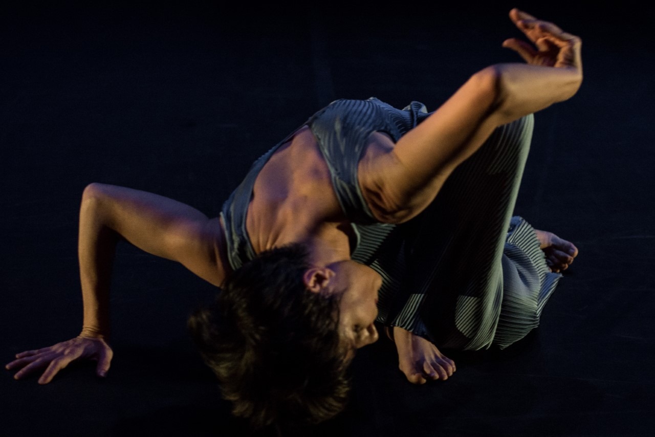 ´Dancidades - Dança e Cidadania´ leva ao palco espetáculos de dança gratuitos neste fim de semana ´Dancidades - Dança e Cidadania´ leva ao palco espetáculos de dança gratuitos neste fim de semana