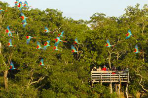 Conheça os destinos turísticos de Mato Grosso do Sul para os feriados de 2017 Buraco das Araras, em Jardim – Região Turística Bonito – Serra da Bodoquena.