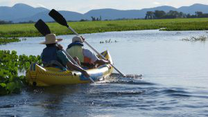 Conheça os destinos turísticos de Mato Grosso do Sul para os feriados de 2017 Canoagem no Pantanal de Corumbá.