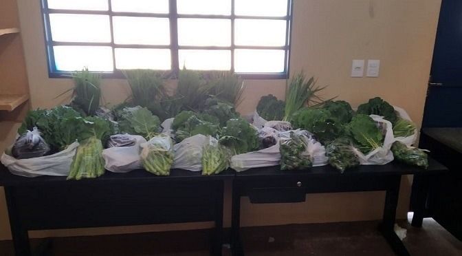 Internos do presídio de Ivinhema garantem doações de verduras a seus familiares
