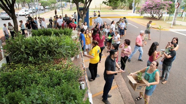 Prefeitura distribui mudas frutíferas para incentivar a preservação ambiental Prefeitura distribui mudas frutíferas para incentivar a preservação ambiental
