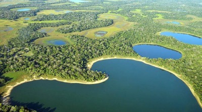 Representantes da Unesco e MMA vêm a MS falar sobre Reserva da Biosfera Pantanal