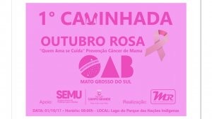 Caminhada no domingo abre programações do Outubro Rosa Folder informativo sobre o evento (Foto: Reprodução)