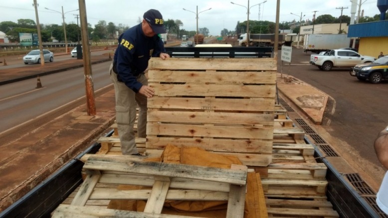 Homem é preso com carga de maconha escondida sob pallets Foto: Osvaldo Duarte
