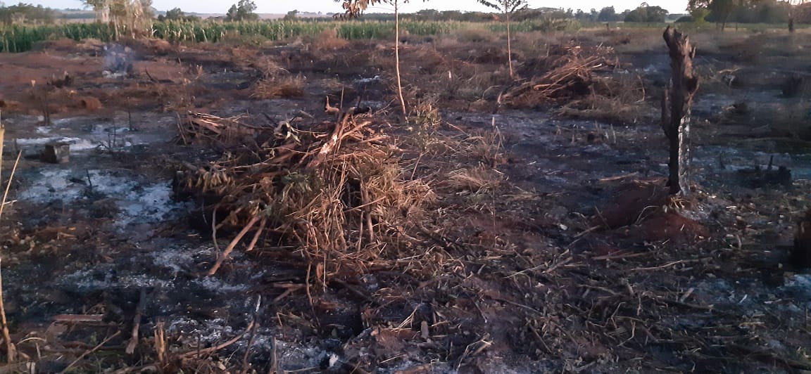 Dono de chácara é autuado por atear fogo para limpeza e renovação pastagem Divulgação
