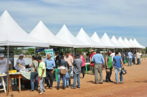 Piscicultores recebem orientações sobre a 12ª Festa do Peixe Foto: Assecom/Arquivo
Produtores já se preparam para mais uma edição da Festa do Peixe