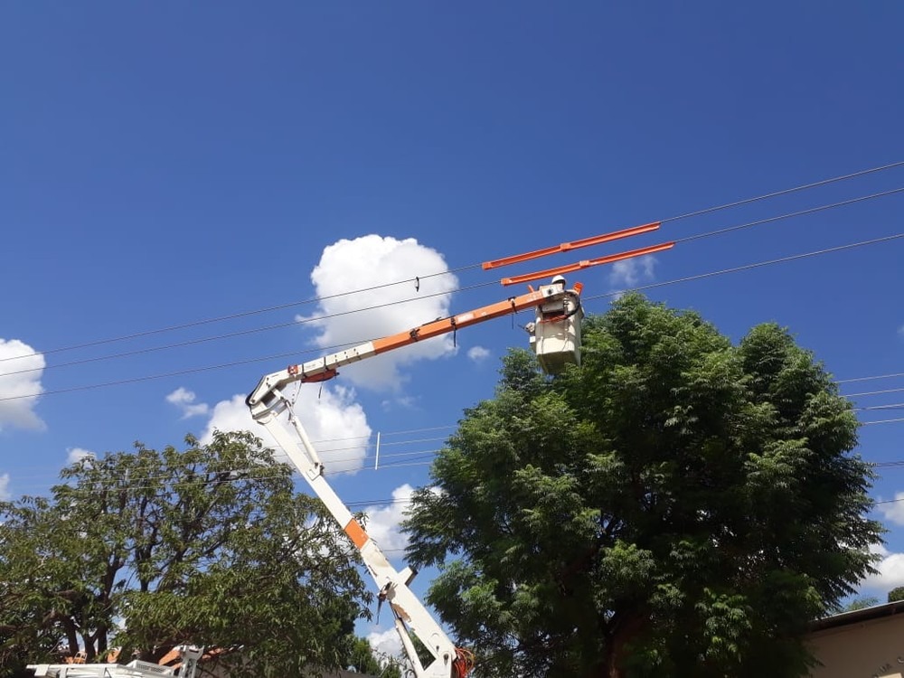 Energisa realiza podas de árvores neste final de semana na Capital Divulgação