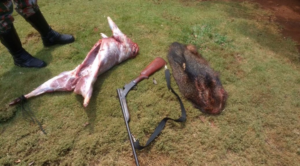 PMA prende dois caçadores com cateto abatido, arma e munições