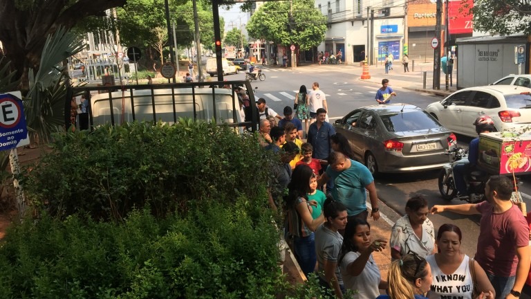 Campo Grande celebra o Dia da Árvore com distribuição de mais de 10 mil mudas frutíferas