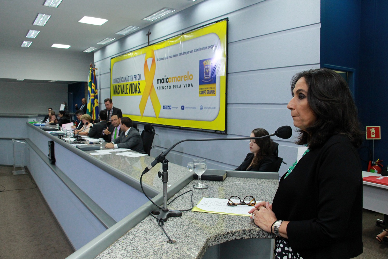 Campanha de Combate ao Feminicídio terá audiência pública, caminhada e palestras na Capital Campanha de Combate ao Feminicídio terá audiência pública, caminhada e palestras na Capital
