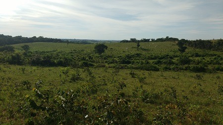 Foto: Divulgação/PMA