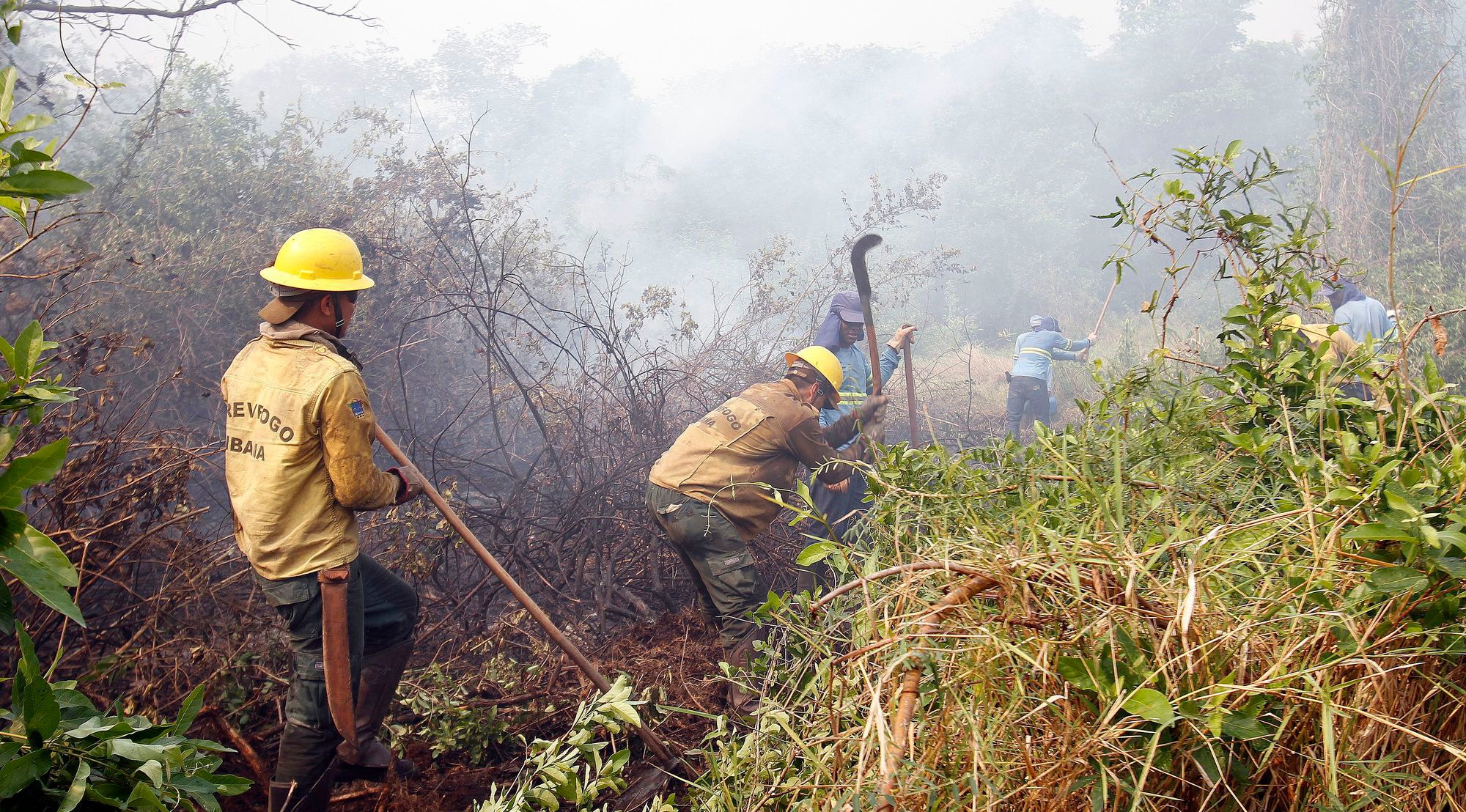 Governo de SP e Exército cedem helicópteros para combater incêndios, após pedido de Azambuja Além das dificuldades de acesso, brigadistas estão combatendo fogo subterrâneo com a concentração da massa aquática. Saul Schramm