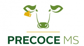 Precoce MS será lançado na próxima segunda-feira Para oferecer maior celeridade e segurança ao processo, técnicos do Governo, das instituições parceiras e das indústrias estiveram debruçados nos últimos meses ajustando as plataformas e o resultado é um programa totalmente informatizado e em consonância com a realidade do mercado atual