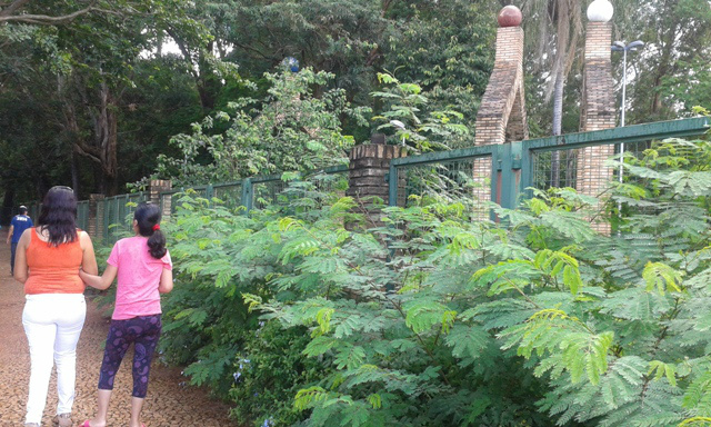 Horto Florestal - Foto Valdeir Azevedo