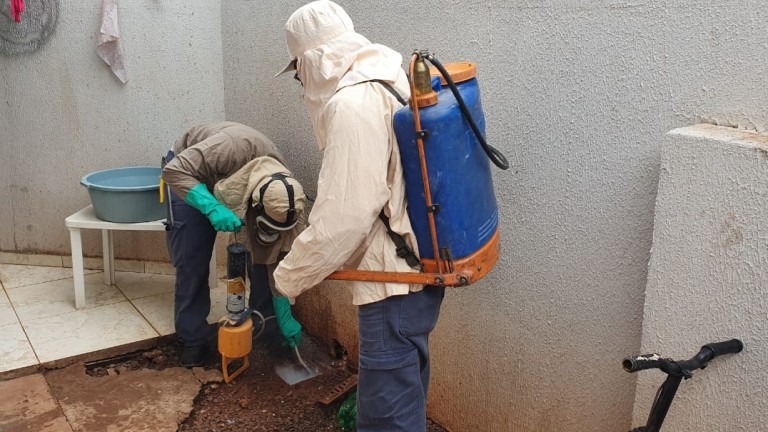 Saiba quando é necessário acionar o CCZ para exterminar escorpiões