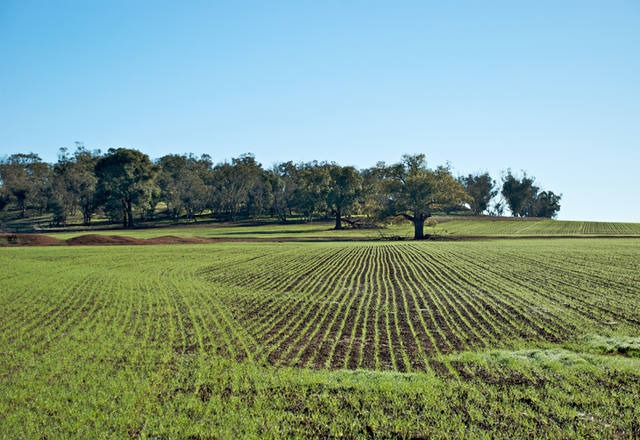 Governo prorroga prazo para inscrição de propriedades no cadastro rural Proprietários rurais agora tem até 31 de maio de 2018 para regularizar o imóvel.