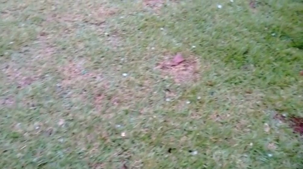 Pedras de granizo cobriram os jardins das casas em Ponta Porã na tarde deste domingo (Foto: Mauro Almeida)