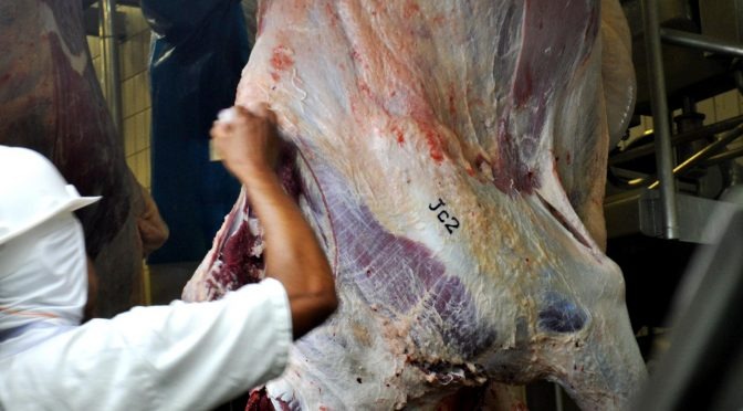 Governo e Embrapa debatem monitoramento de carbono na agropecuária