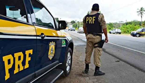 Vaca surta, danifica veículo policial na BR-158 e policiais a abatem