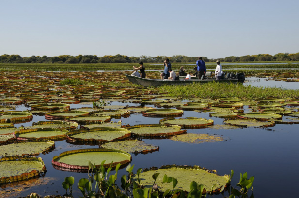 Passeio de barco e contemplação. Foto: Bolivar Porto.
