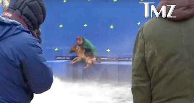 Pré-estreia de filme é cancelada após cachorro ser forçado a entrar na água Vídeo mostra cachorro sendo forçado a entrar na água; Produtora acusa edição - Foto: Reprodução/TMZ
Clique e veja o vídeo na integra