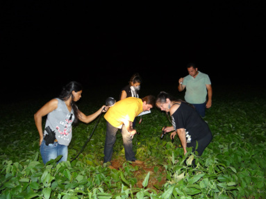 Corpo estava no meio de plantação de soja em área rural de Itaporã (Foto: Osvaldo Duarte)