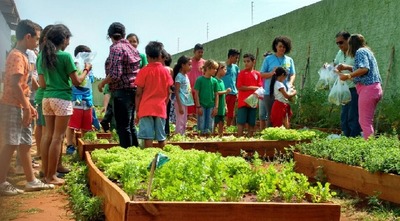 Rede Solidária cria cooperativa para transformar horta comunitária em alternativa de renda Foto: Arquivo Rede Solidária