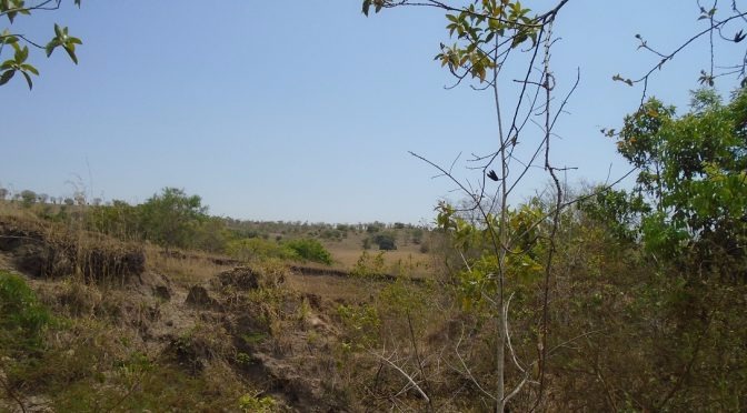 Fazendeiro é autuado em R$ 10 mil por erosões e assoreamento de córrego