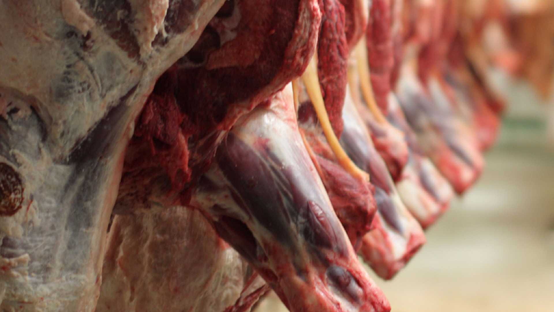 Azambuja lança programa “Carne sustentável no Pantanal” nesta terça Azambuja lança programa “Carne sustentável no Pantanal” nesta terça