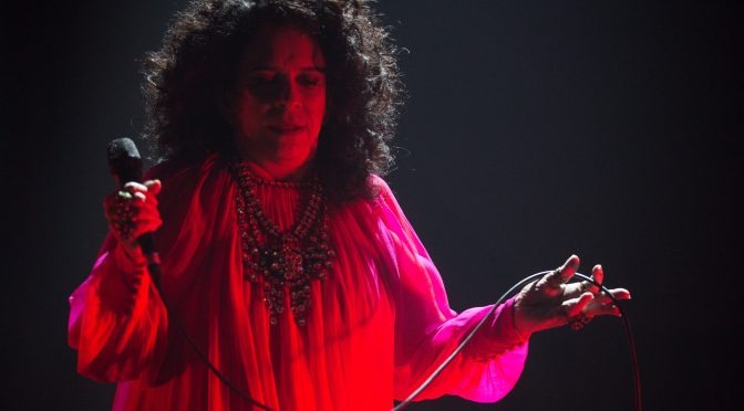 Prometendo uma programação de qualidade, 20ºFIB traz ao palco Gal Costa Foto: Divulgação
