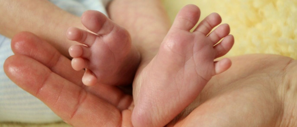 Pais mantêm bebê morto ligado às maquinas para doar órgãos Pais mantêm bebê morto ligado às maquinas para doar órgãos