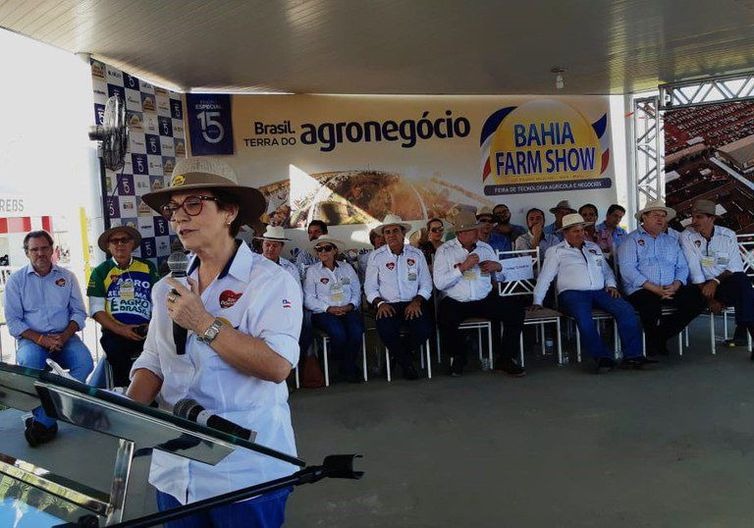 Tereza Cristina quer Brasil com política agrícola definida Tereza Cristina ministra defendeu que o país tenha uma política agrícola definida, sendo essencial que o produtor rural tenha previsibilidade na hora de tomar crédito - Divulgação Ministério da Agricultura, Pecuária e Abastecimento