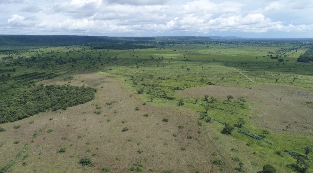 Operação Cervo do Pantanal autua 25 pessoas e aplica R$ 568 mil em multas