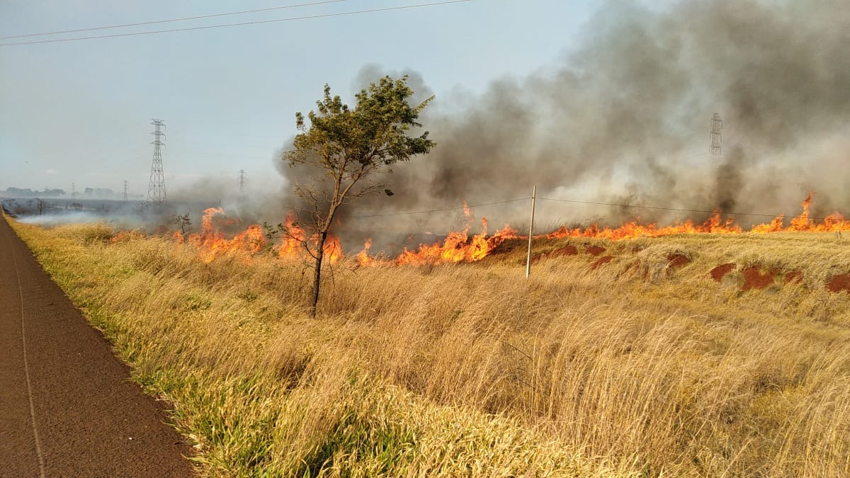 Fogo atinge área de pastagem às margens da BR-463 Sidnei Lemos