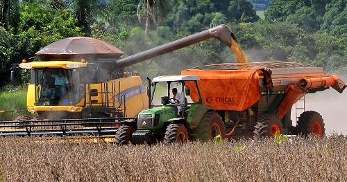 Produtores aproveitam “estiada” no clima para poder retirar grãos das lavouras - Foto: Valdenir Rezende / Correio do Estado