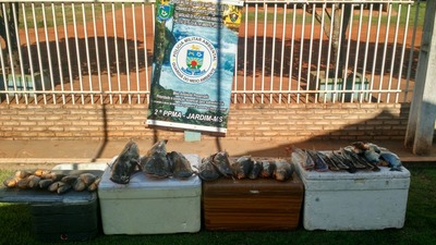 Peixes apreendidos na Operação Piracema no município de Jardim.

