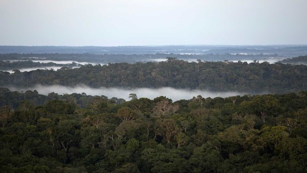 AGU cria força-tarefa para atuar em defesa da Amazônia Legal (Bruno Kelly/Reuters)