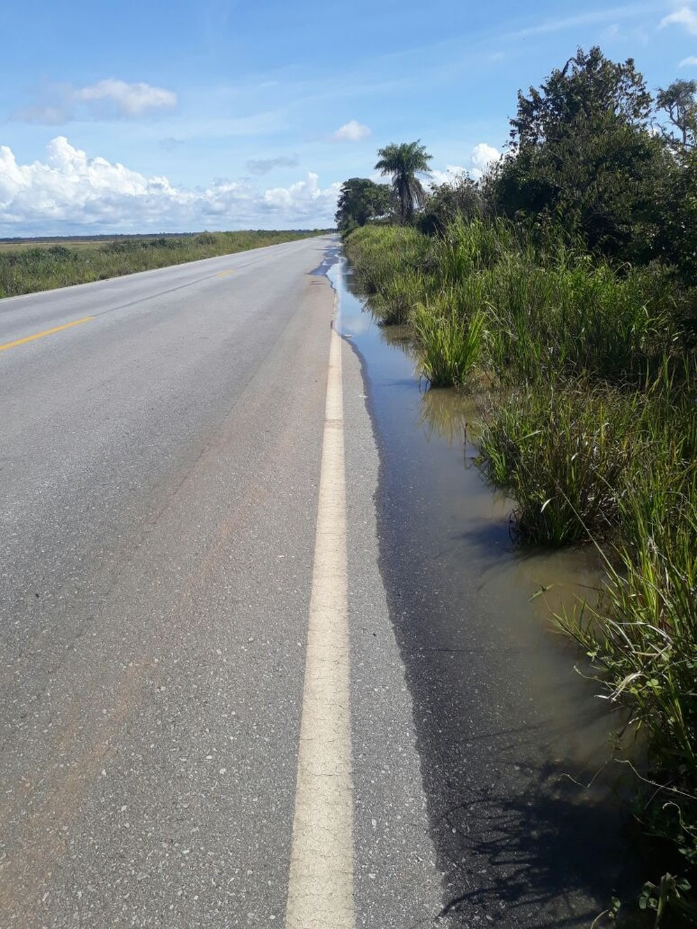 Água do Rio Miranda às margens da MS-339 (Foto: Defesa Civil/Divulgação)