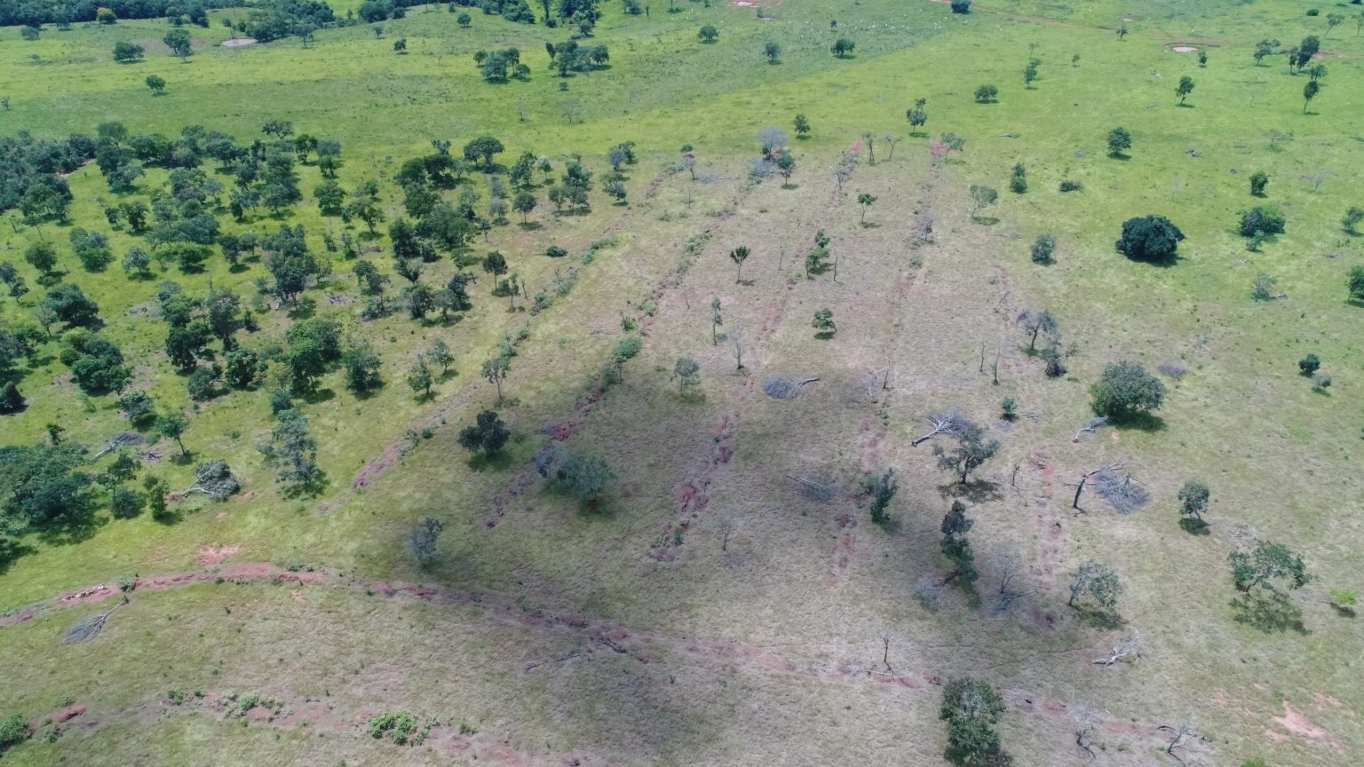 Imagens de satélite identificam desmatamento ilegal e proprietário é multado