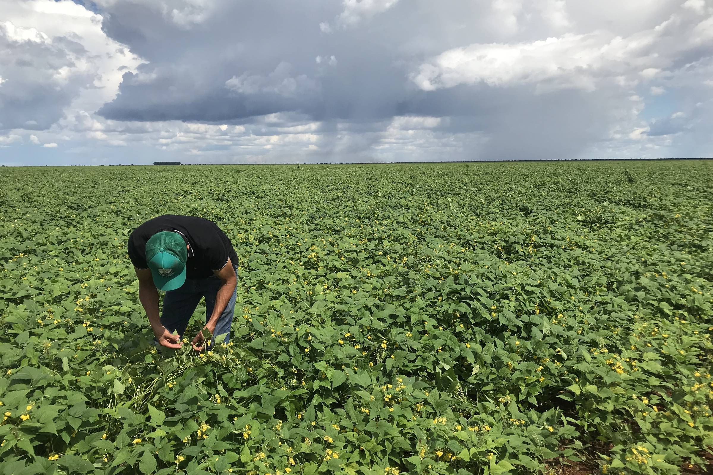 Audiência discutirá produção agrícola sustentável em terras indígenas Audiência discutirá produção agrícola sustentável em terras indígenas