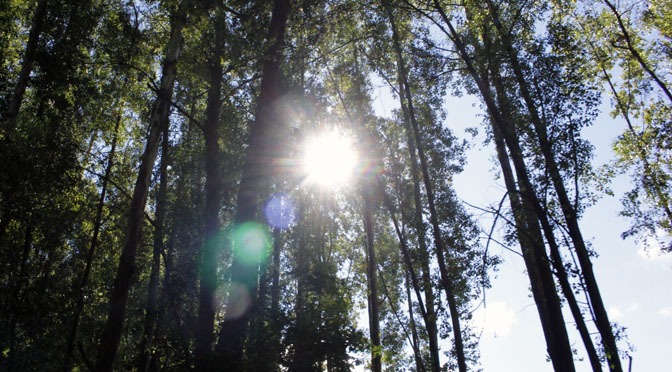 Terça-feira com céu claro a parcialmente nublado em Mato Grosso do Sul Terça-feira com céu claro a parcialmente nublado em Mato Grosso do Sul