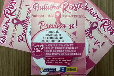 Ação de conscientização mobiliza Câmara Municipal para Outubro Rosa