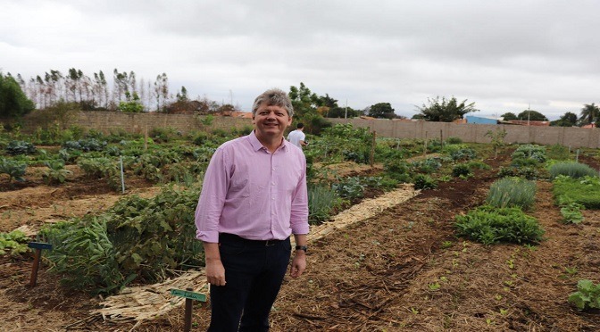 Governo lança plataforma para agricultores familiares de MS venderem online Governo lança plataforma para agricultores familiares de MS venderem online