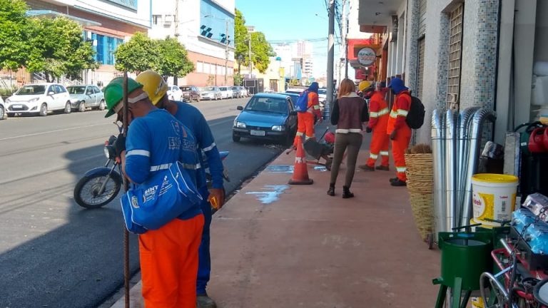 Novo trecho da 14 também terá paisagismo