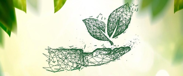 Solenidade nesta quarta-feira comemora Dia do Meio Ambiente com entrega do Prêmio Ecologia Solenidade nesta quarta-feira comemora Dia do Meio Ambiente com entrega do Prêmio Ecologia