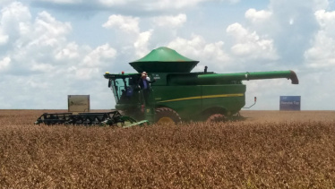 Mato Grosso do Sul colheu no ciclo 2016/2017 a maior safra de soja de sua história, aponta Aprosoja/MS (Foto: Anderson Viegas/G1 MS)
