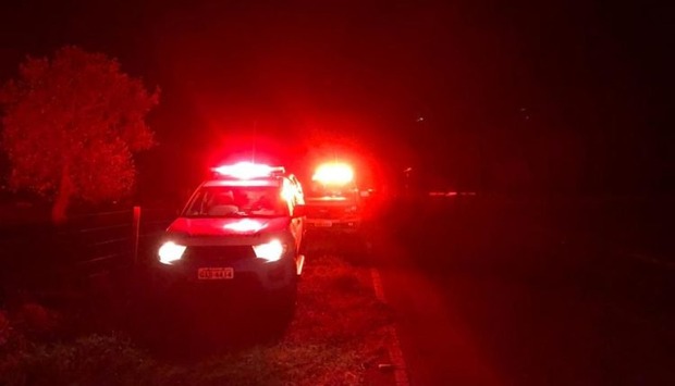 Dono de boi que invadiu pista e causou acidente será investigado Dono de boi que invadiu pista e causou acidente será investigado